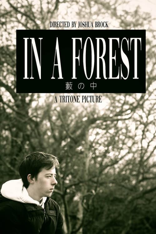 Постер: In a Forest
