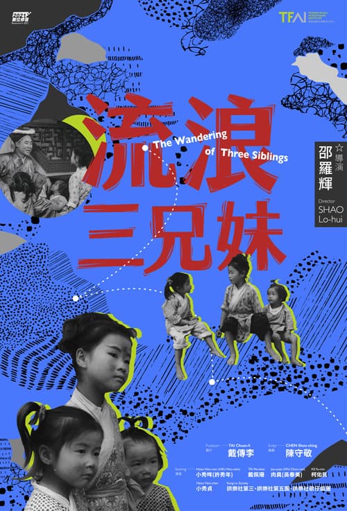 Постер: 流浪三兄妹