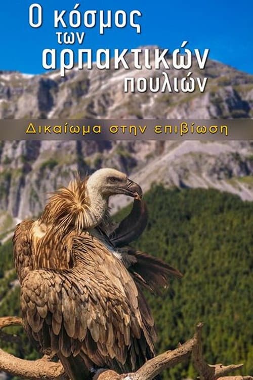 Постер: Ο κόσμος των αρπακτικών πουλιών – Δικαίωμα στην Επιβίωση
