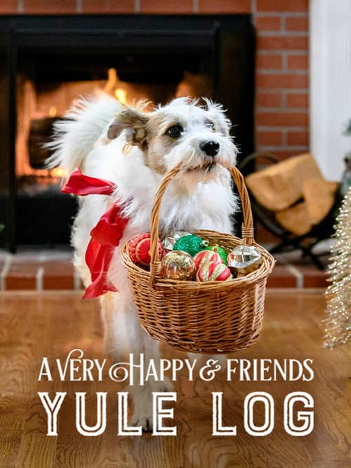 Постер: A Very Happy & Friends Yule Log