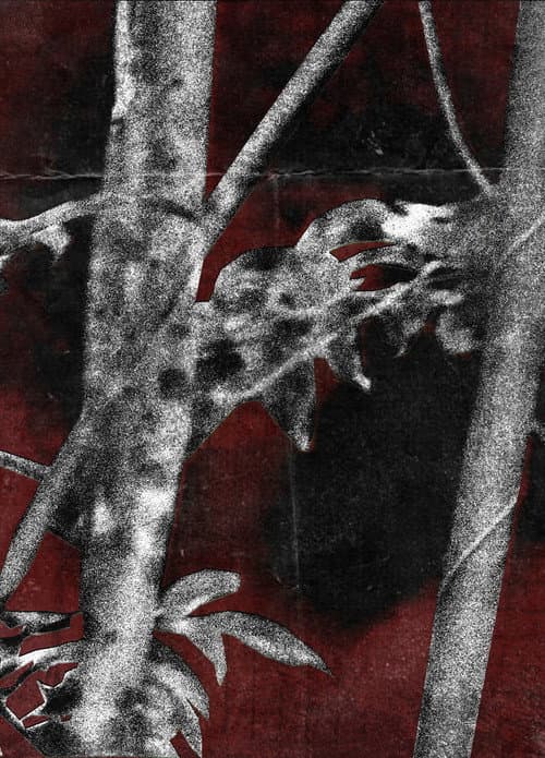Постер: Ruídos Do Cerne