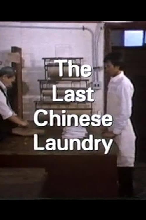 Постер: The Last Chinese Laundry