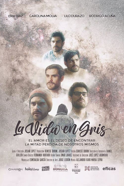 Постер: La vida en gris