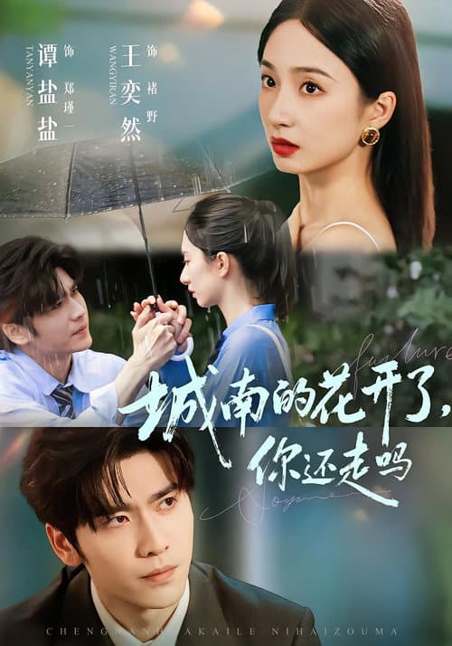 Постер: 城南的花开了,你还走吗
