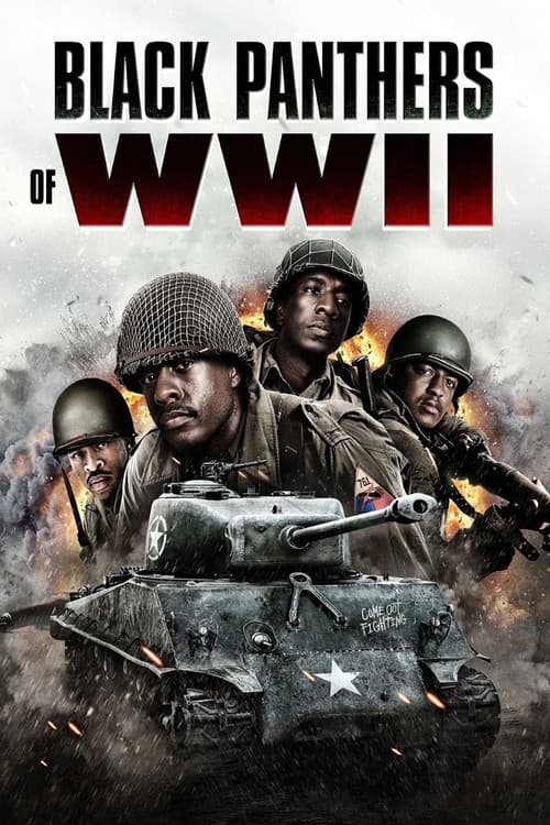 Постер: Black Panthers of WWII