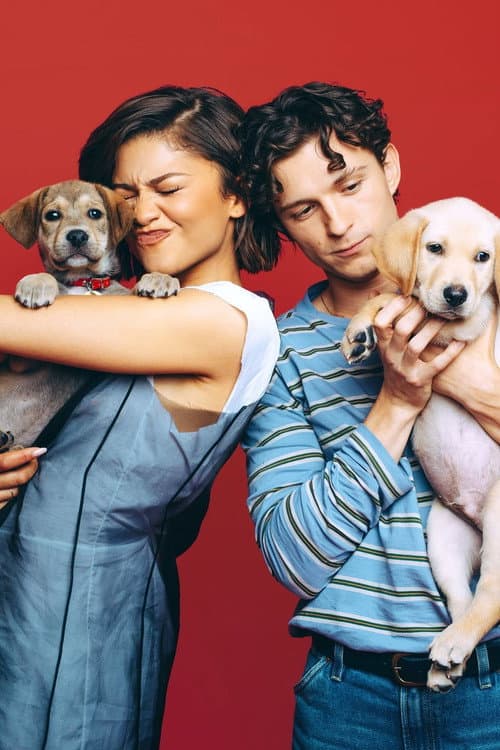 Постер: Celebs Play With Puppies & Kittens