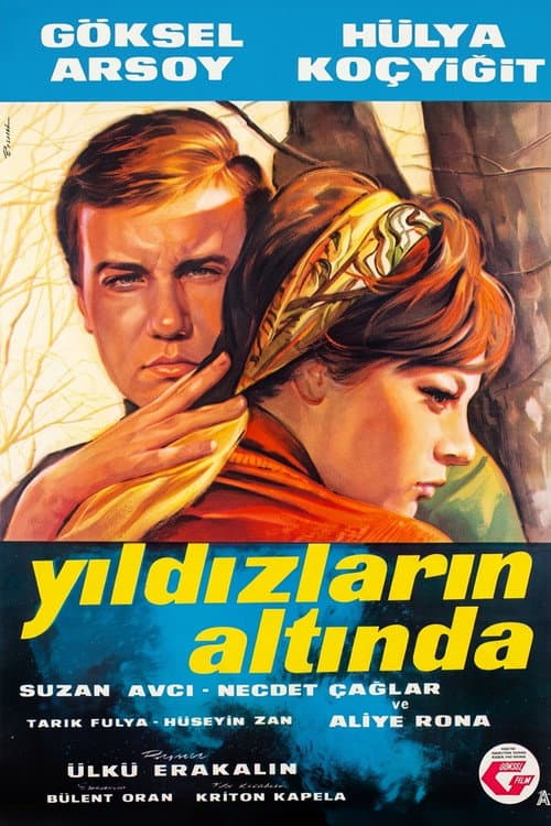 Постер: Yıldızların Altında