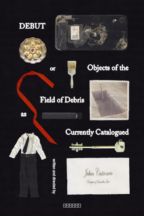 Постер: Debut, or, Objects of the Field of Debris as Currently Catalogued