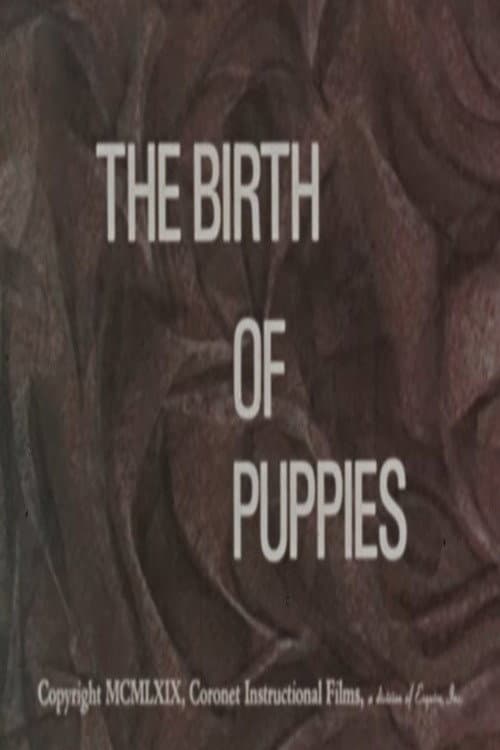 Постер: The Birth of Puppies