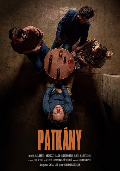Постер: Patkány