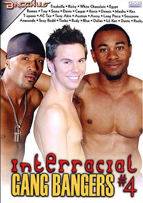 Постер: Interracial Gang Bangers 4