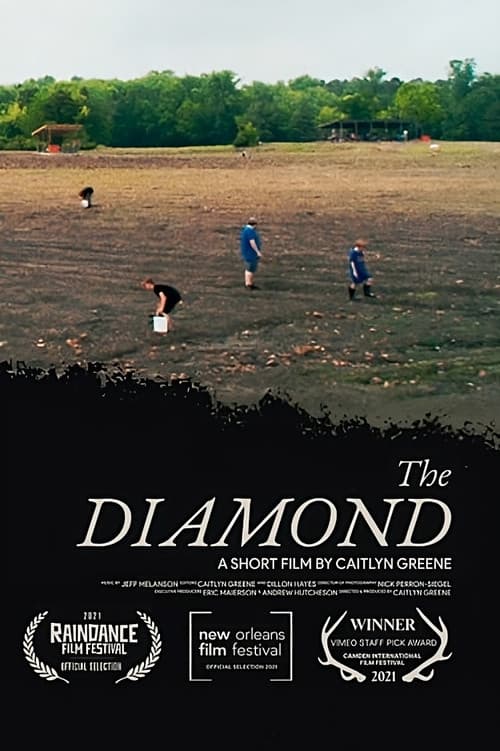 Постер: The Diamond