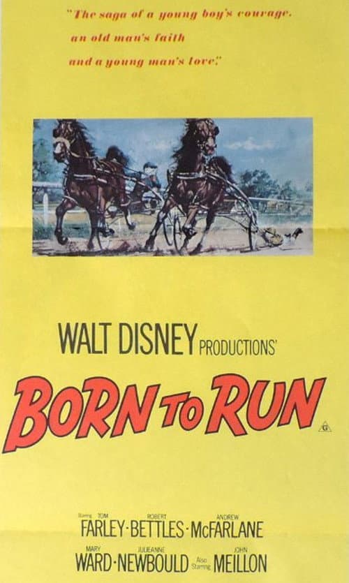 Постер: Born to Run