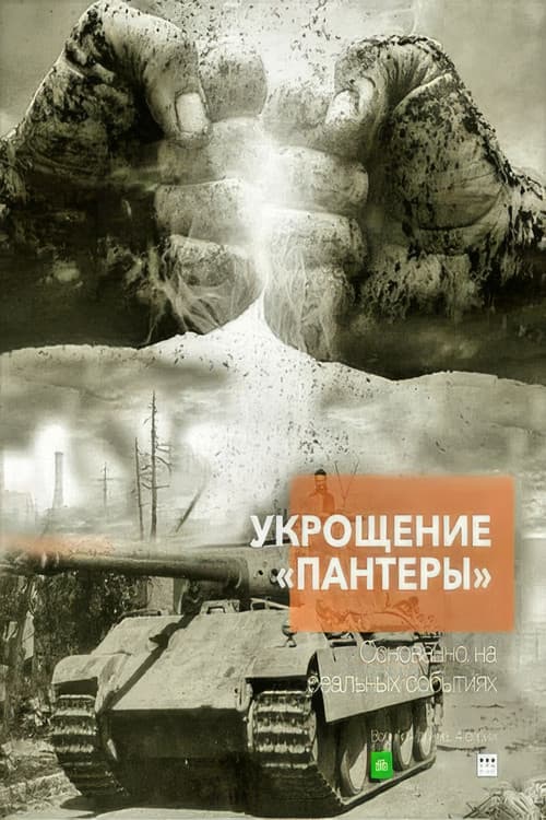 Постер: Укрощение «Пантеры»