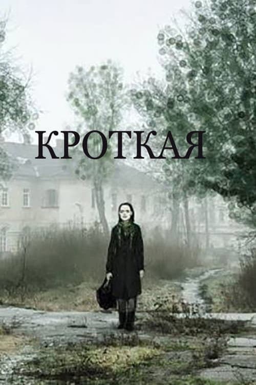Постер 3