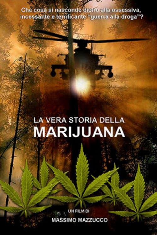 Постер: La vera storia della marijuana