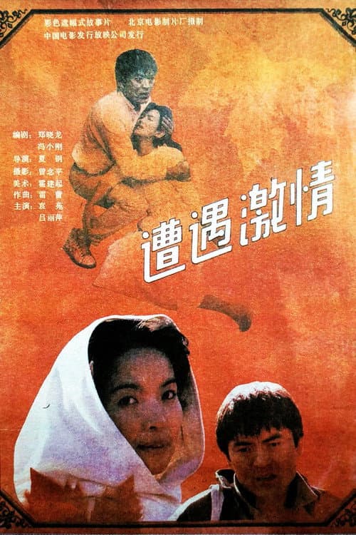 Постер: 遭遇激情