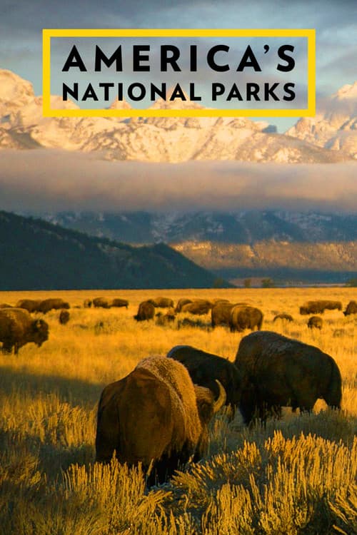 Постер: America's National Parks