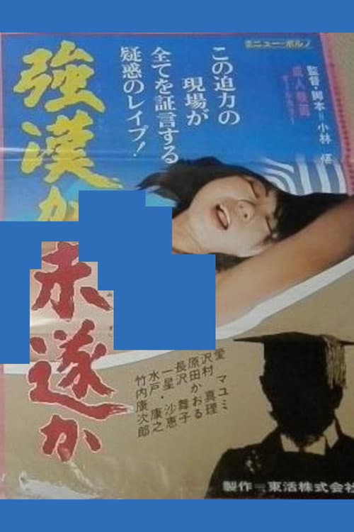 Постер: 強姦か未遂か