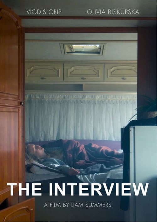 Постер: The Interview