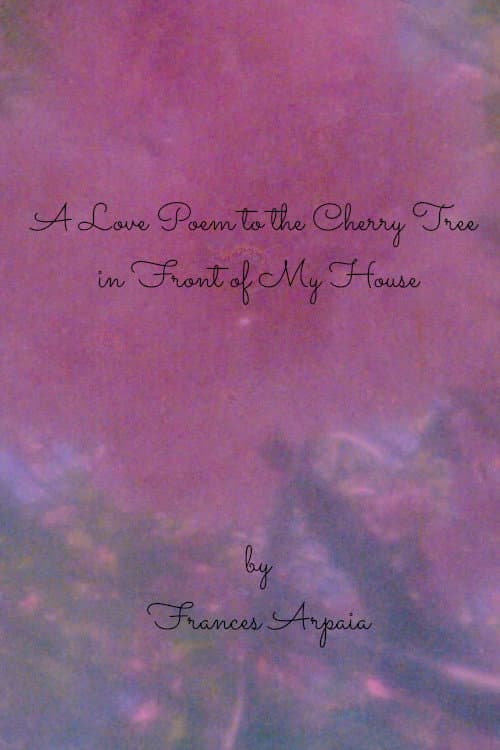 Постер: A Love Poem to the Cherry Tree in Front of My House