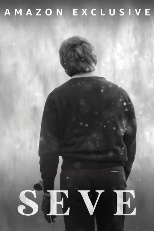 Постер: Seve