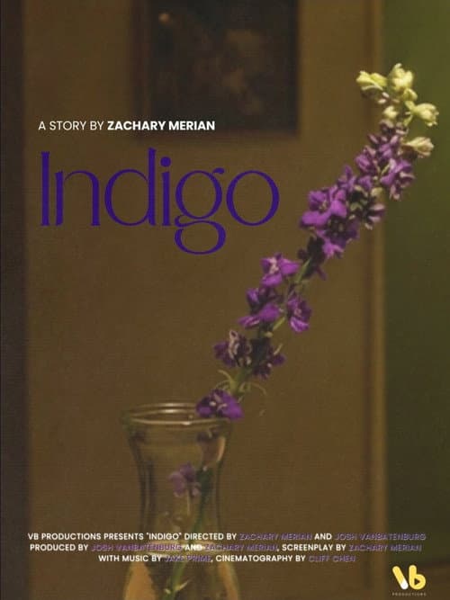 Постер: INDIGO