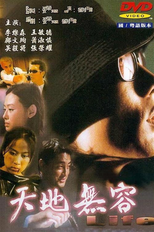Постер: 天地無容