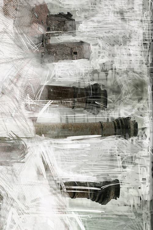 Постер: Niebla