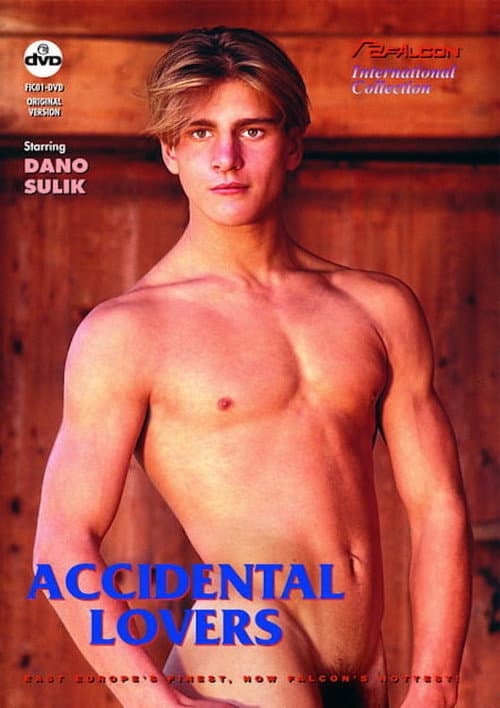 Постер: Accidental Lovers