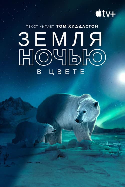 Кадр 6