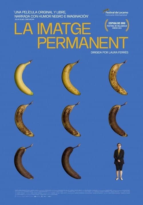 Постер: La imatge permanent