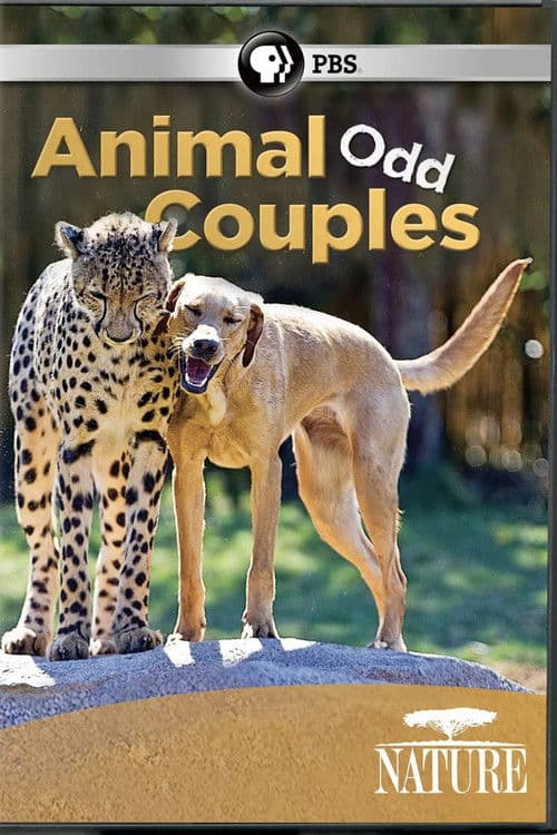 Постер: Animal Odd Couples