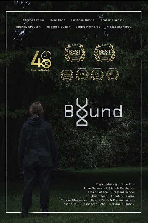 Постер: Bound