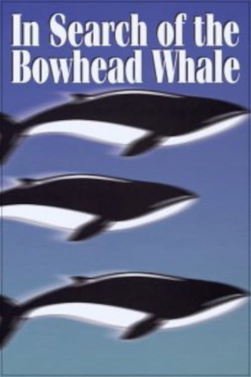 Постер: In Search of the Bowhead Whale