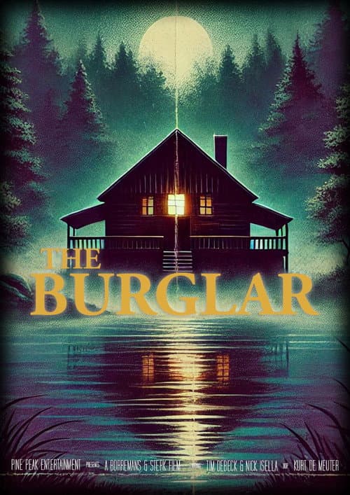 Постер: The Burglar