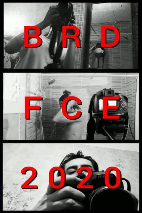 Постер: BRDFCE2020