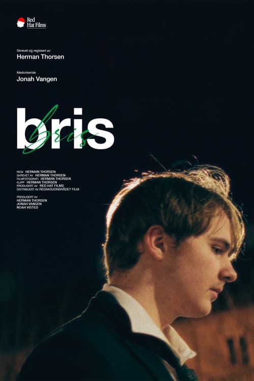 Постер: Bris