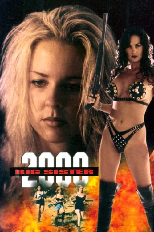 Постер: Big Sister 2000