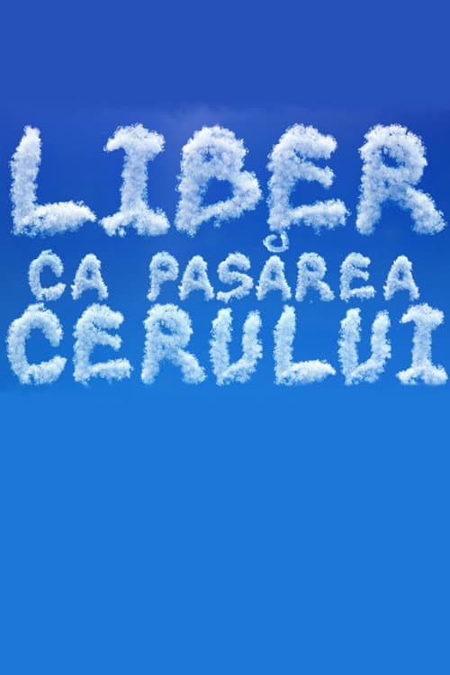 Постер: Liber ca pasărea cerului