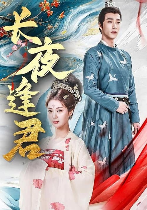 Постер: 长夜逢君