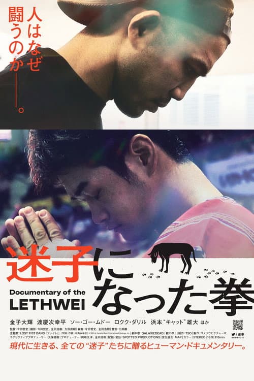 Постер: 迷子になった拳