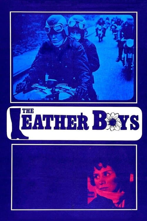 Постер: The Leather Boys