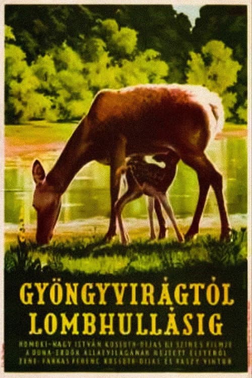Постер: Gyöngyvirágtól lombhullásig