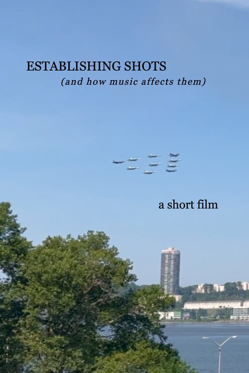 Постер: Establishing Shots (and how music affects them)