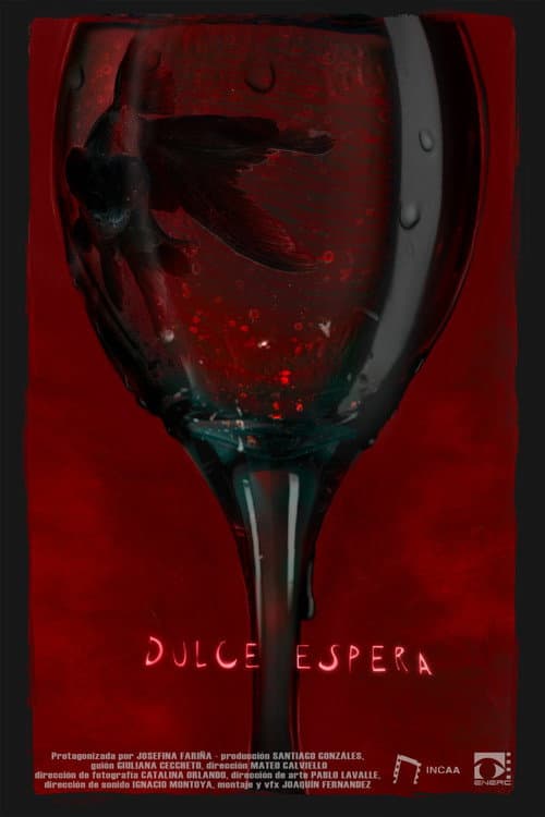 Постер: Dulce espera