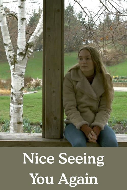 Постер: Nice Seeing You Again
