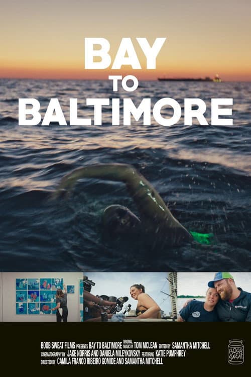 Постер: Bay to Baltimore
