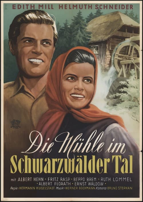Постер: Die Mühle im Schwarzwäldertal