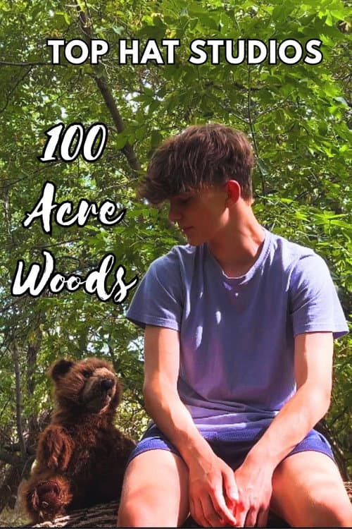 Постер: 100 Acre Woods